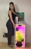 Cash Crop 8.0 - 6 Plant LED Hydroponics Grow Box