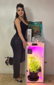 Cash Crop 8.0 - 6 Plant LED Hydroponics Grow Box