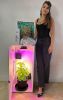 Cash Crop 8.0 - 6 Plant LED Hydroponics Grow Box